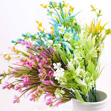 Aglaia Odorata Flower Seeds for Planting – Bright Blooms, Heirloom, Non-GMO, High Germination