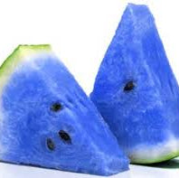 Sky Blue Watermelon fruit seeds for planting - Heirloom & Non-GMO garden seeds, high-yield sweet variety