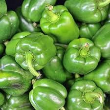 Bell Pepper California Wonder Seeds – High Yield, Sweet & Crisp Heirloom Variety