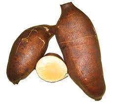 Vegetable Seeds,Garden seeds, Seeds For Planting,Plant Seeds