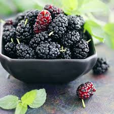 Fruit Seeds,Garden seeds, Seeds For Planting,Plant Seeds