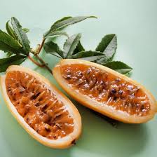 Orange Banana Passion Fruit seeds for planting – Heirloom & Non-GMO garden seeds for tangy tropical vines