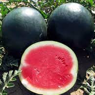 Fruit Seeds,Garden seeds, Seeds For Planting,Plant Seeds