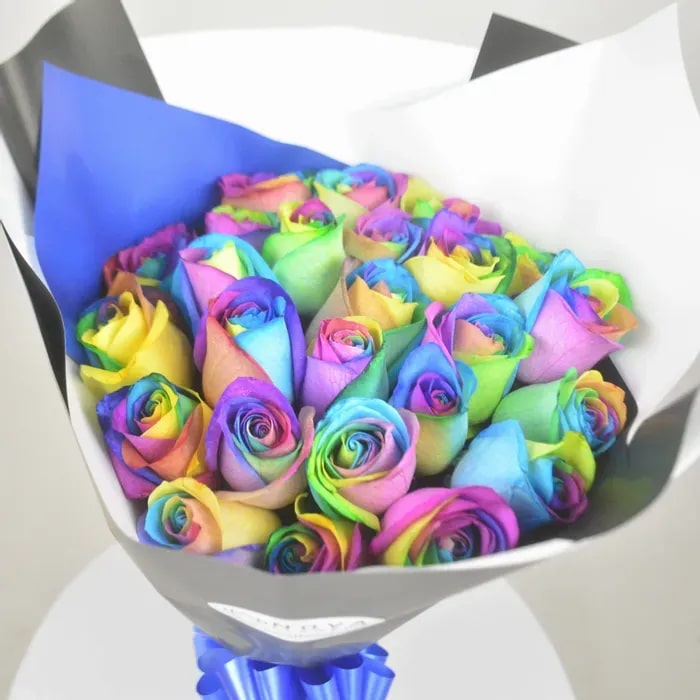 Mixed Colour Rose Flower Seeds for Planting – Heirloom, Non-GMO, High Germination Organic Garden Seeds for Home Garden