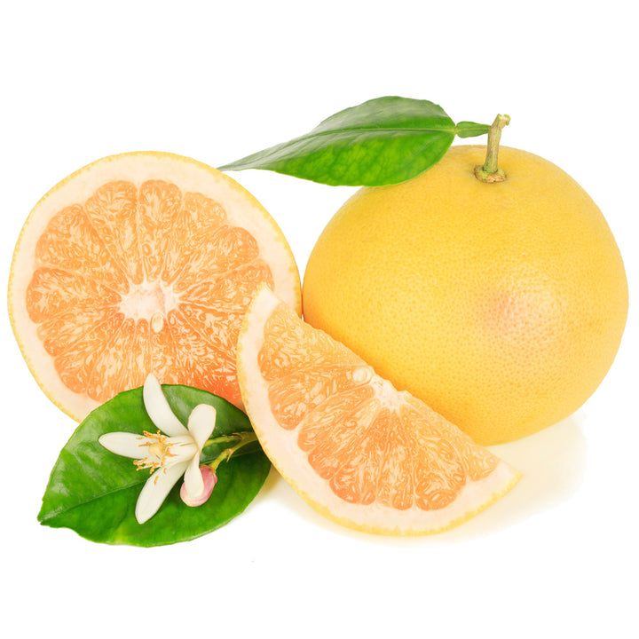 Grapefruit Citrus fruit seeds for planting – Heirloom & Non-GMO Garden seeds