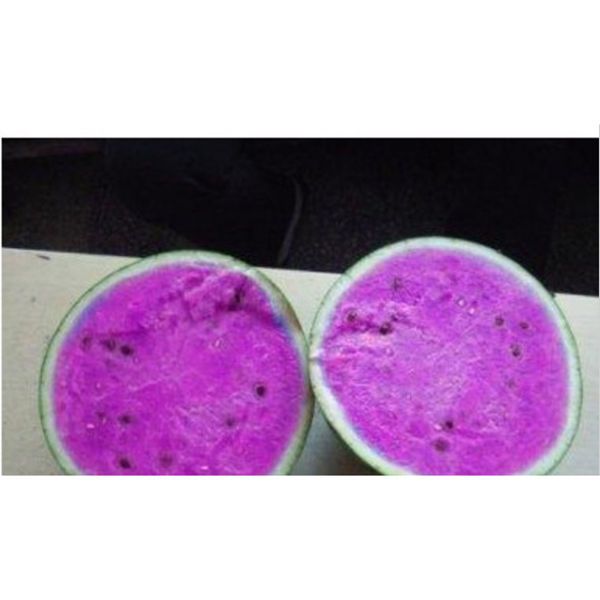 Purple Watermelon Fruit Seeds – Heirloom, Non-GMO Seeds for Refreshing Sweet Fruit Planting