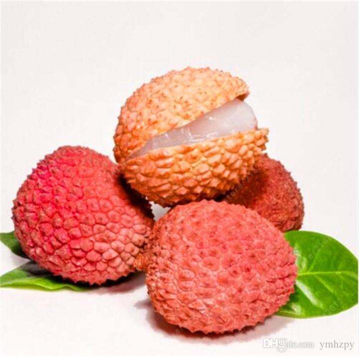 Orange Litchi fruit seeds for planting - Heirloom & Non-GMO garden seeds for sweet tropical harvests