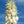 Yucca Elata plant seeds for planting - Heirloom & Non-GMO Garden seeds, hardy ornamental for dry areas