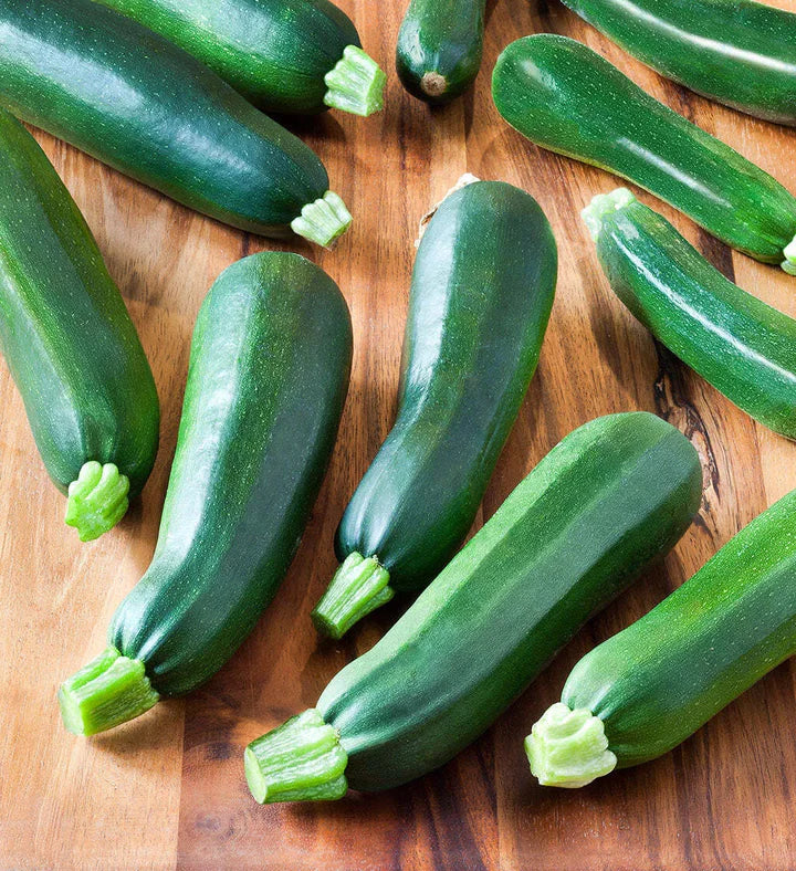 Zucchini Black Beauty Seeds – High Yield, Fast-Growing Summer Squash for Home Garden