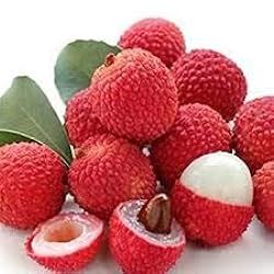 Red Lychee seeds for planting - Heirloom & Non-GMO exotic tropical fruit garden seeds