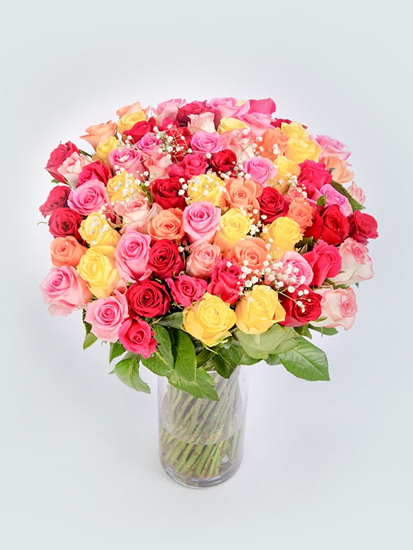 Mixed Home Garden Rose Flower Seeds for Planting – Heirloom, Non-GMO, High Germination Organic Seeds