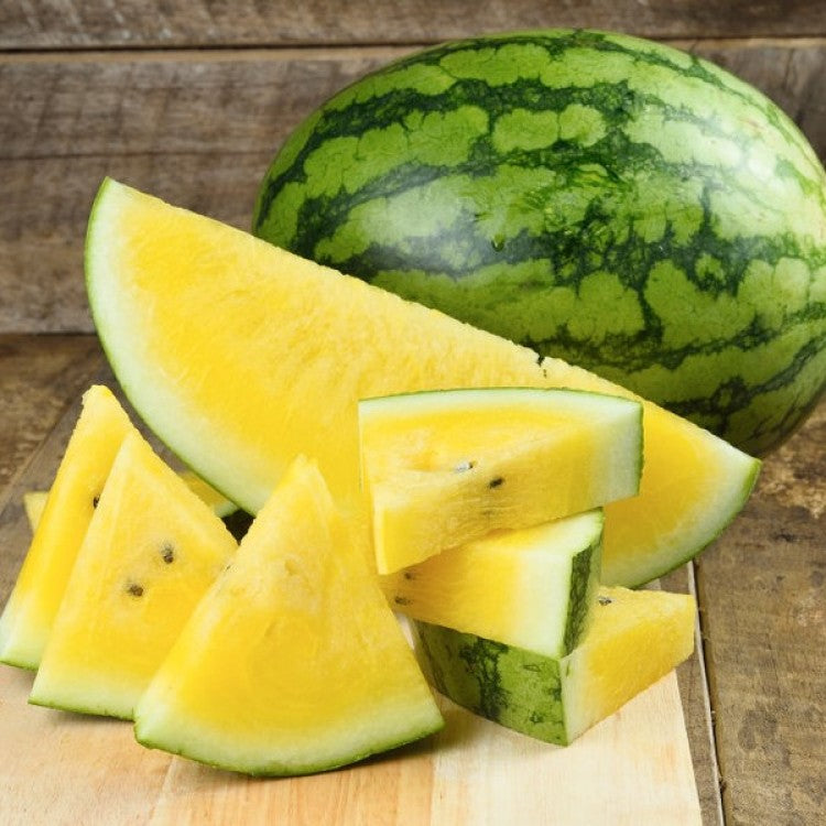 Golden Honey Watermelon Fruit Seeds for Planting – Heirloom Non-GMO Sweet Refreshing Organic Garden Seeds