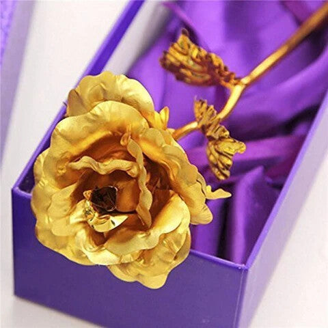 Gold Rose Flower Seeds for Planting – Heirloom Non-GMO, High Germination Organic Garden Seeds