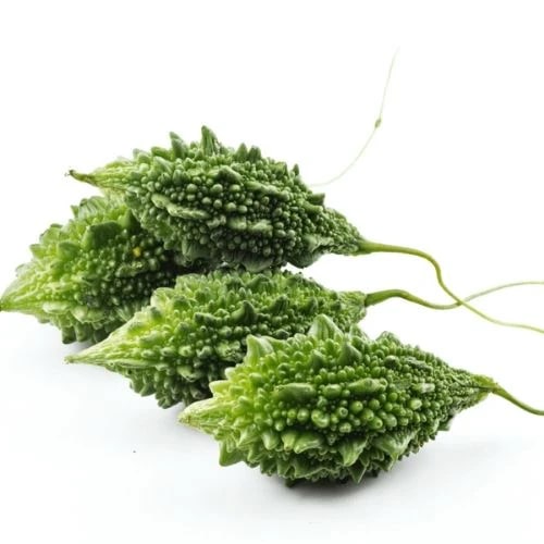 Short Bitter Gourd Seeds for Planting – Heirloom, Non-GMO Vegetable Seeds for Home Garden & Organic Farming