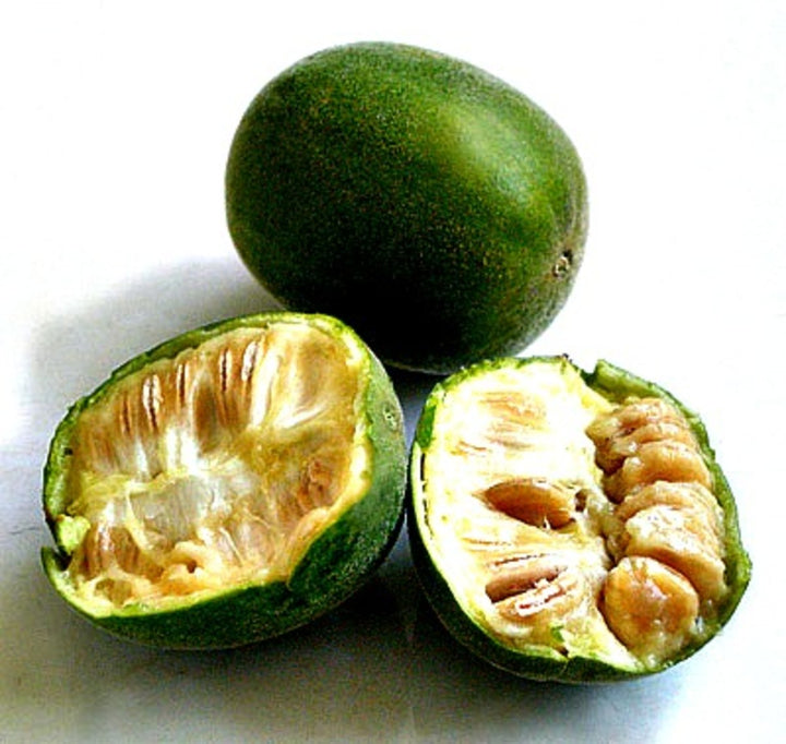 Luo Han Guo fruit seeds for planting – Heirloom & Non-GMO Garden seeds