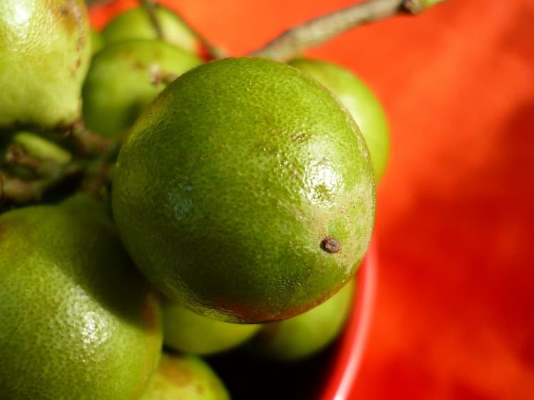 Mamoncillo Fruit Seeds for Planting – Heirloom, Non-GMO Sweet Tropical Garden Fruit Seeds