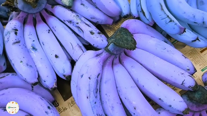 Fruit Seeds,Garden seeds, Seeds For Planting,Plant Seeds