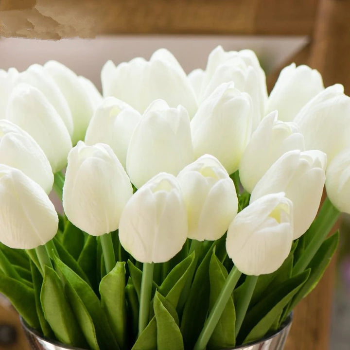 White Tulip Flower seeds for Planting – Drought Tolerant, Heirloom, Non-GMO Seeds for Home Garden