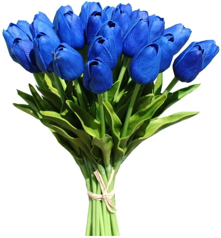 Blue Tulip Flower Seeds for Planting – Heirloom Non-GMO Organic Garden Seeds with High Germination