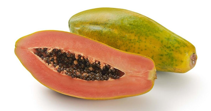 Maradol Mexican Papaya Fruit seeds for planting – Heirloom & Non-GMO Garden seeds
