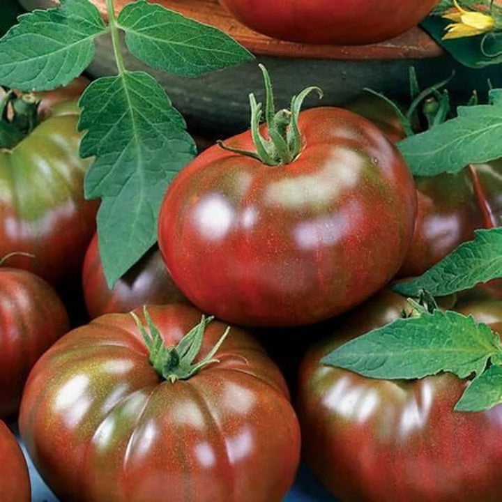Black Brown Tomato Vegetable Seeds for Planting – Heirloom & Non-GMO Garden Seeds