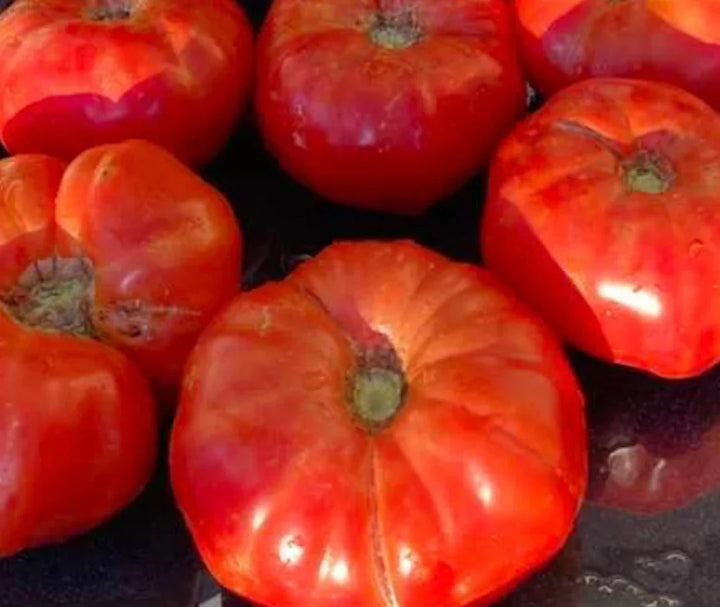 Vegetable Seeds,Garden seeds, Seeds For Planting,Plant Seeds