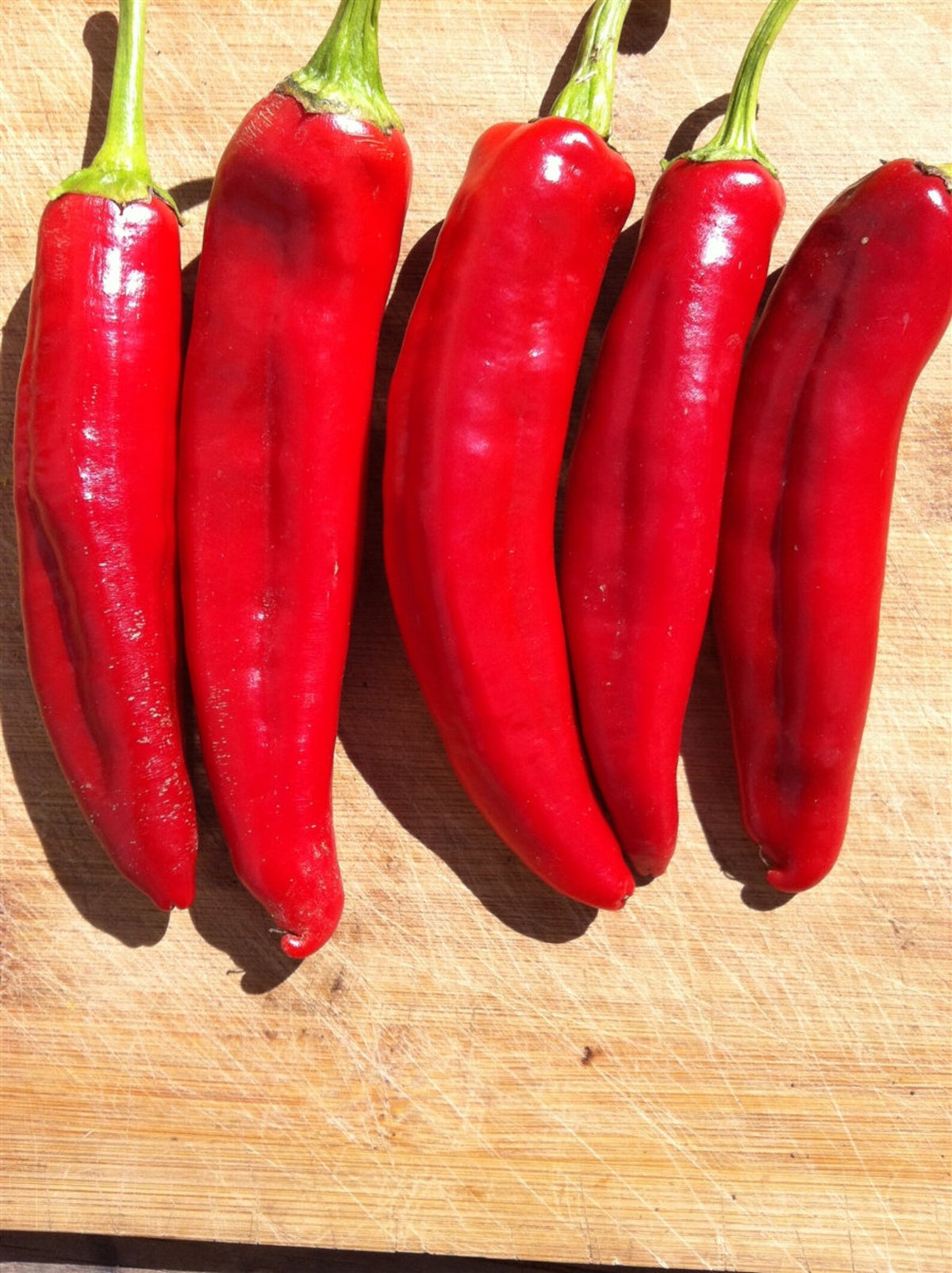 Sweet Hungarian Paprika Seeds for Planting – Heirloom Non-GMO High Germination Organic Garden Seeds, Flavorful Spice Peppers