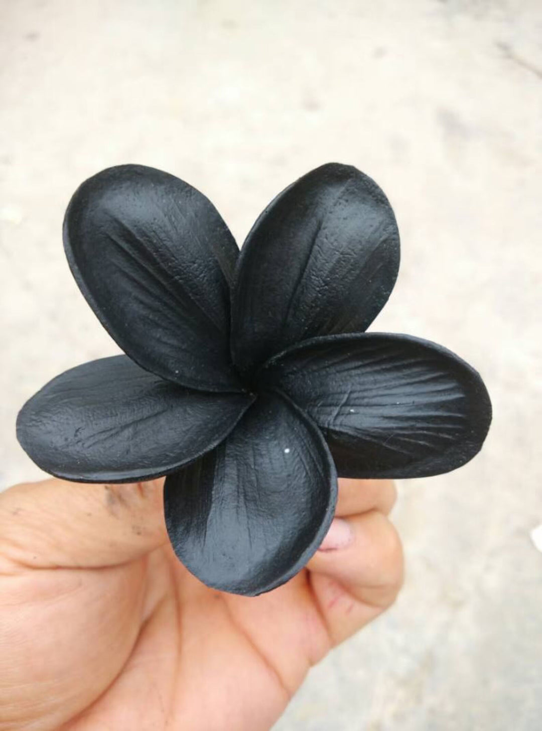 Black Frangipani Flower Seeds for Planting – Heirloom, Non-GMO, Drought-Tolerant Organic Garden Seeds