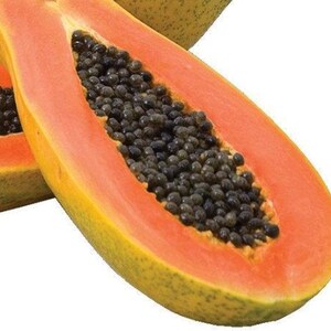 Maradol Mexican Papaya Fruit seeds for planting – Heirloom & Non-GMO Garden seeds