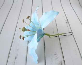 Light Sky Blue Lilium Flower Seeds for Planting – Heirloom Non-GMO High Germination Organic Garden Seeds