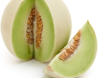 Rocky Ford Green Flesh Melon fruit seeds for planting – Heirloom & Non-GMO Garden seeds