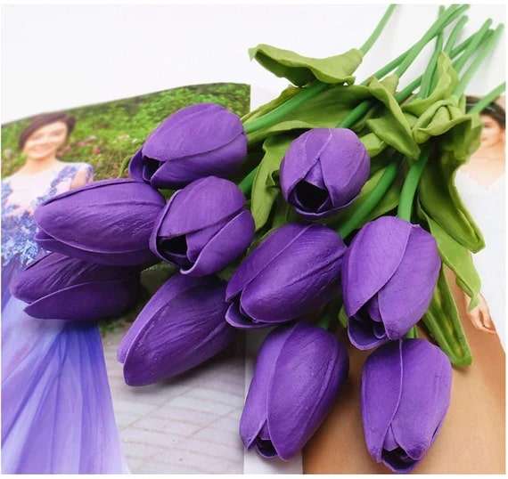 Deep Purple Tulip Flower Seeds for Planting – Heirloom, Non-GMO, High Germination