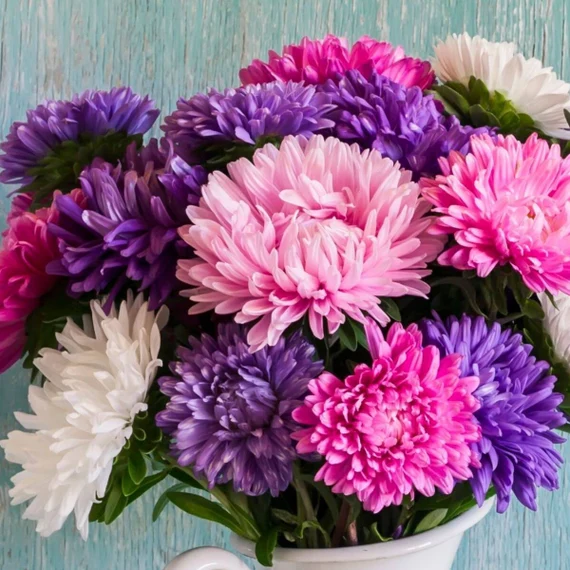 Mixed Crego Flower Seeds for Planting – Heirloom, Non-GMO, High Germination Organic Garden Seeds