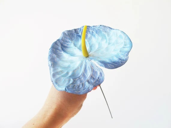 Sky Blue Anthurium Flower seeds for Planting – Cut Flower Favorite, Heirloom & Non-GMO Seeds