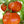 Zebra Tomato Seeds for Planting – Heirloom & Non-GMO Vegetable Seeds