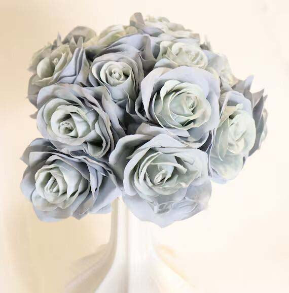 Gray White Rose Flower Seeds for Planting – Heirloom, Non-GMO, Pollinator Friendly High Germination Seeds