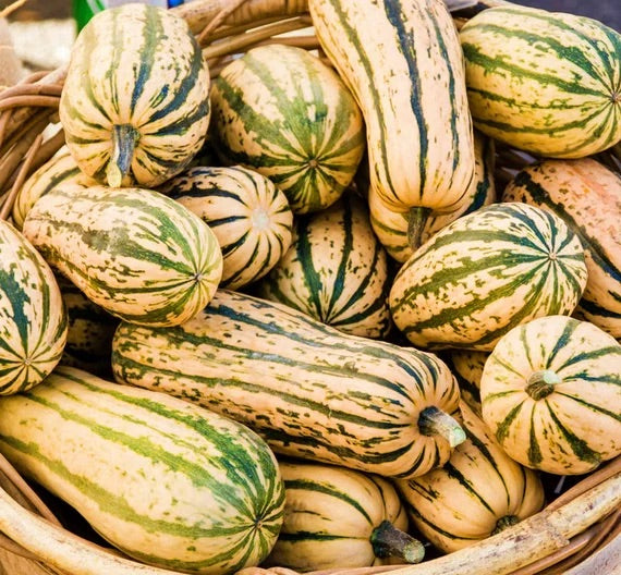 Organic Delicata Squash Seeds – Heirloom Non-GMO Sweet Winter Vegetable Seeds for Planting, Organic Garden Seeds