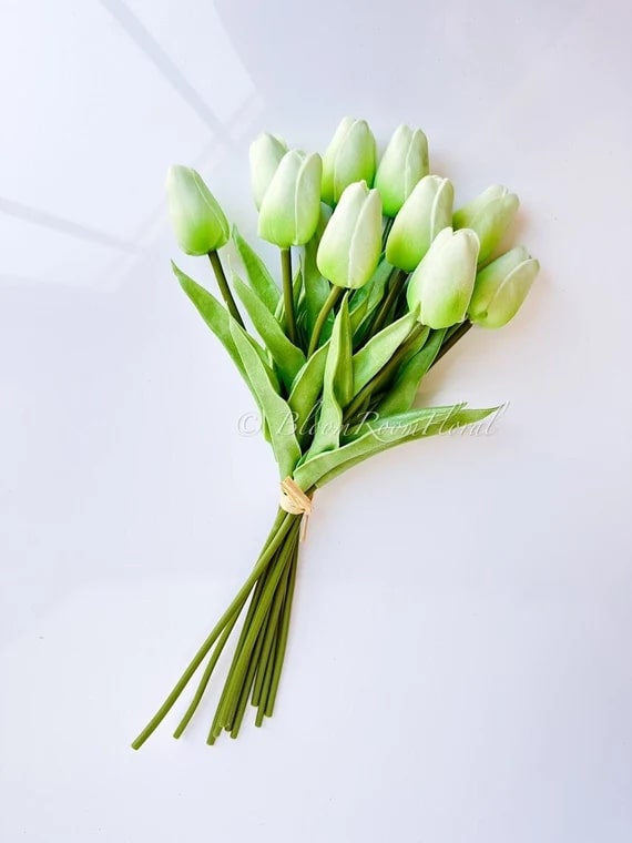 Light Green Tulip Flower Seeds for Planting – Bright Blooms, Heirloom & Non-GMO Seeds