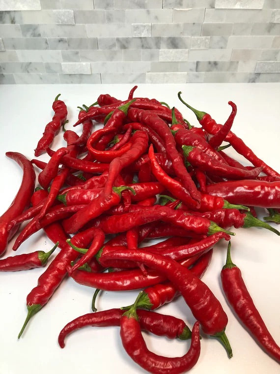 Salkim Biber Pepper Seeds for Planting – Heirloom, Non-GMO, Unique Turkish Peppers – High Germination