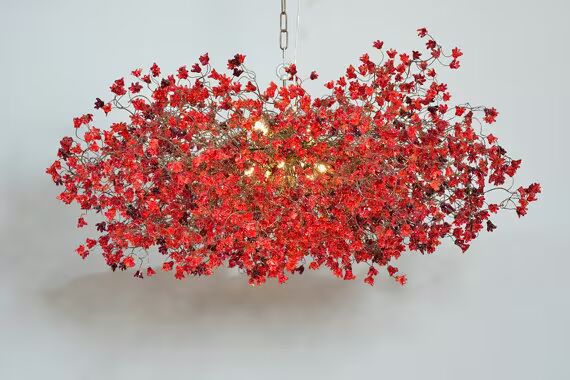 Red Chandelier Seeds for Planting – Heirloom, Non-GMO, Seasonal Bloomer, High Germination