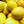 Yellow Canary Melon fruit seeds for planting – Heirloom & Non-GMO garden seeds for sweet refreshing harvest