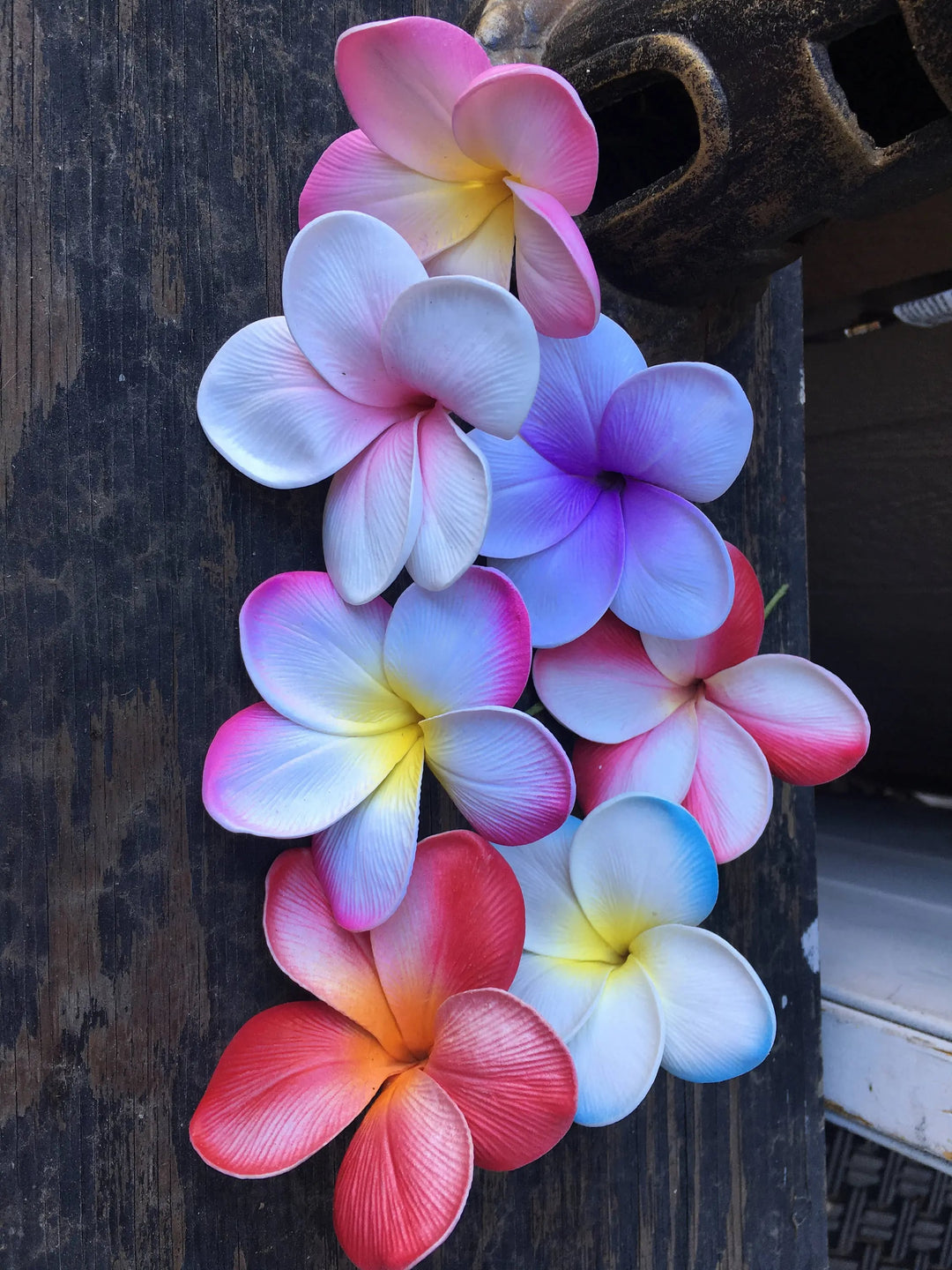 Plumeria Flower Seeds for Planting – Long Bloom, Heirloom & Non-GMO Organic Garden Seeds