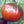 Black Brown Tomato Vegetable Seeds for Planting – Heirloom & Non-GMO Garden Seeds