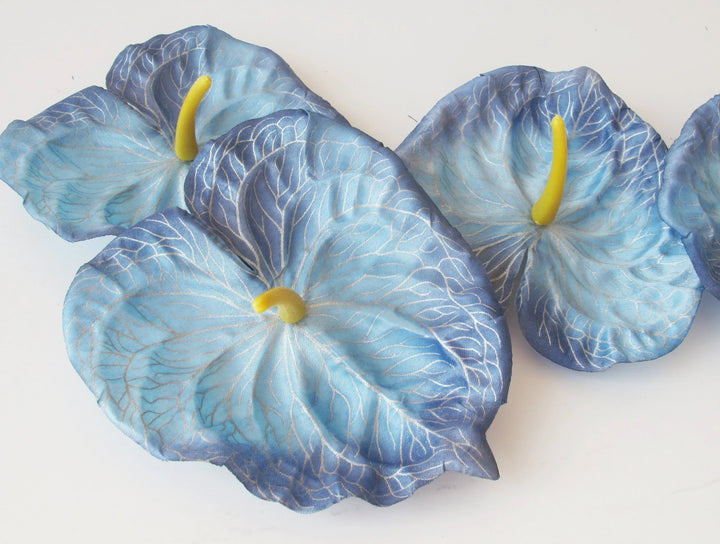 Sky Blue Anthurium Flower seeds for Planting – Cut Flower Favorite, Heirloom & Non-GMO Seeds