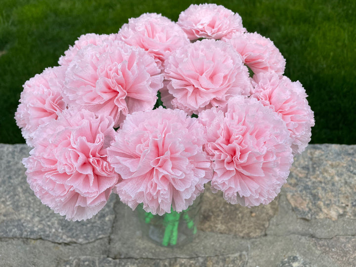 Light Pink Carnations Flower Seeds for Planting Heirloom Non-GMO High Germination Organic Garden Seeds