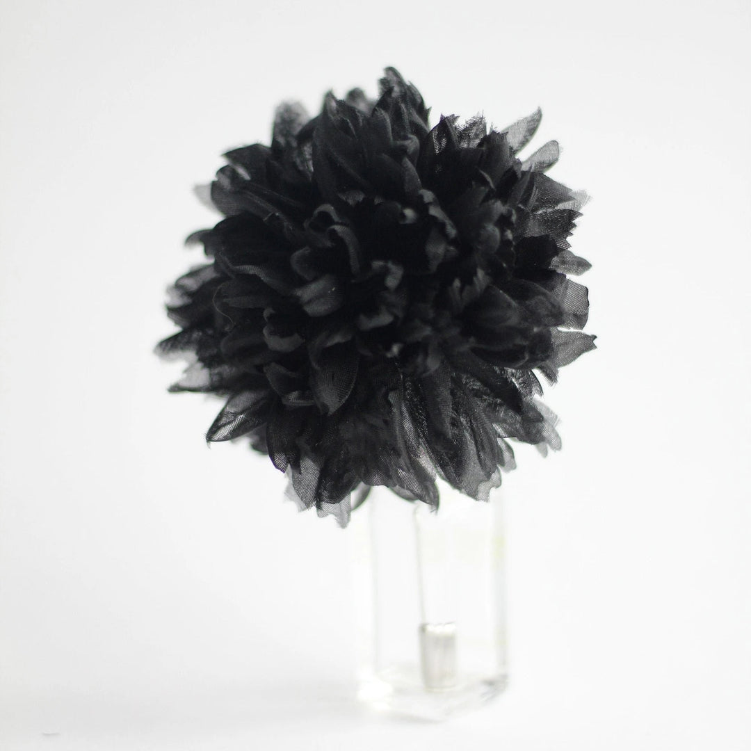 Black Carnation Flower Seeds for Planting – Heirloom, Non-GMO, Sun Loving, High Germination