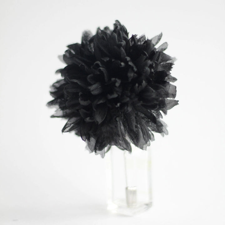 Black Carnation Flower Seeds for Planting – Heirloom, Non-GMO, Sun Loving, High Germination