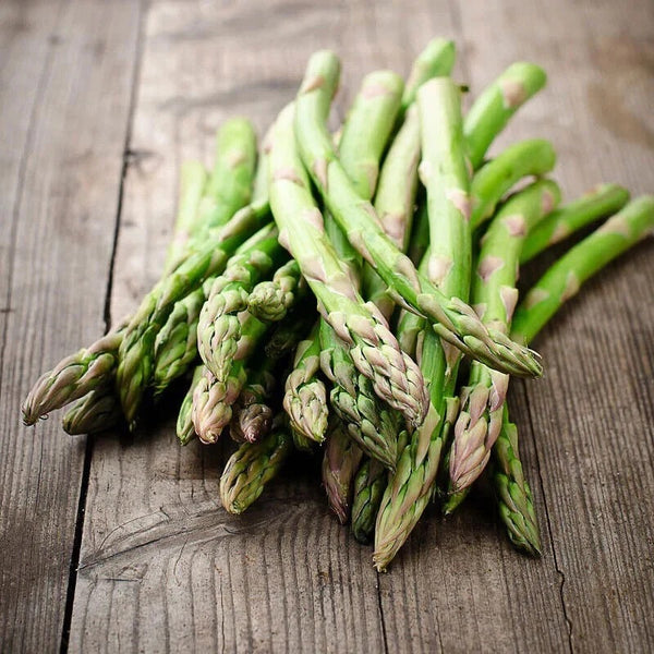 Asparagus Seeds – Heirloom Non-GMO Perennial Vegetable Seeds for Planting, Organic Garden Seeds, High Germination