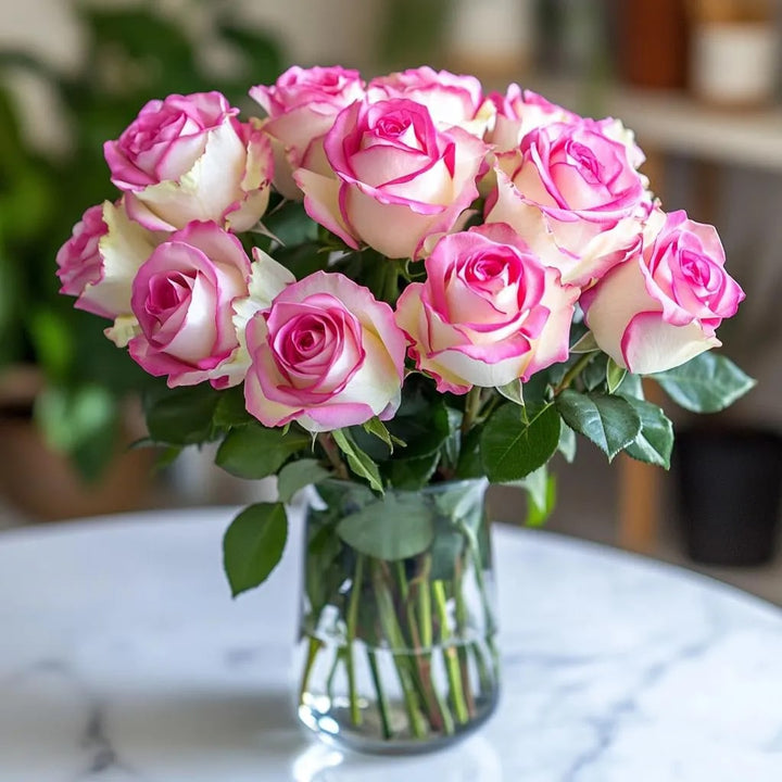 Pink White Holland Rose Flower Seeds for Planting – Heirloom, Non-GMO, High Germination Seeds