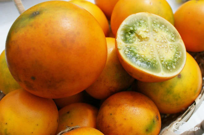 Naranjilla Fruit Seeds for Planting – Heirloom, Non-GMO Exotic Tart Citrus Garden Fruit Seeds